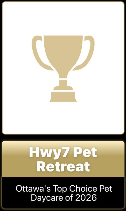 hwy7 pet retreat 2026 top choice award