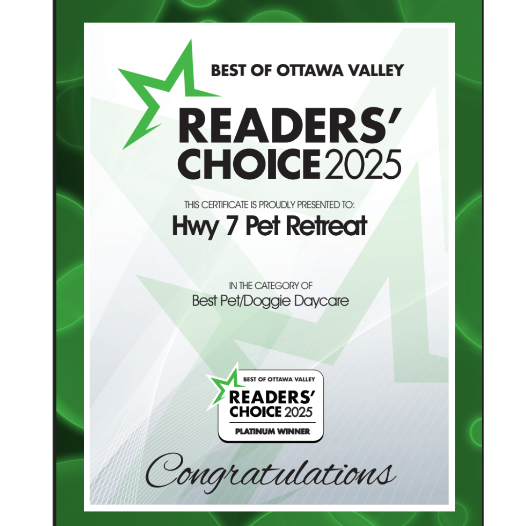 Readers Choice 2025 Best PetDiggie Daycare HWY 7 Pet Retreat