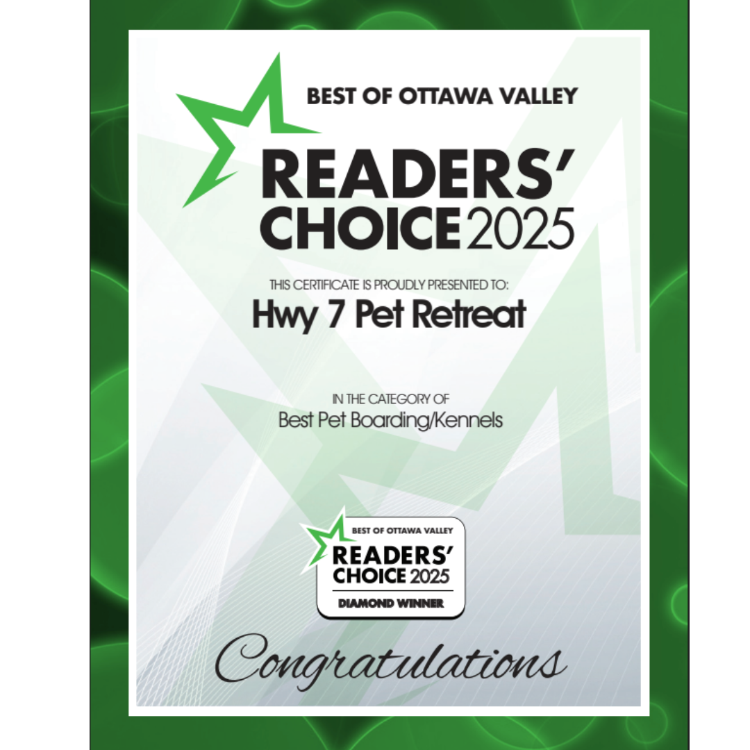 Best of Ottawa Valley Readers Choice 2025 HWY 7